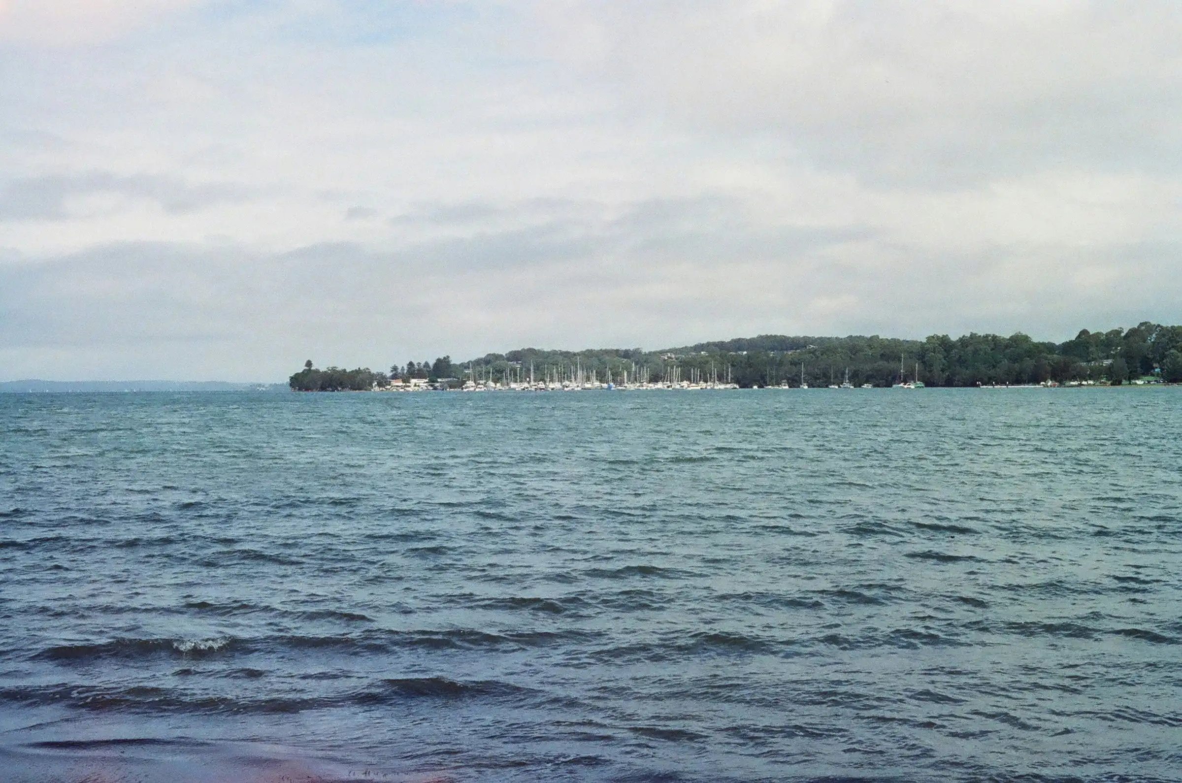 Boats moored off a wooded point on Lake Macquarie